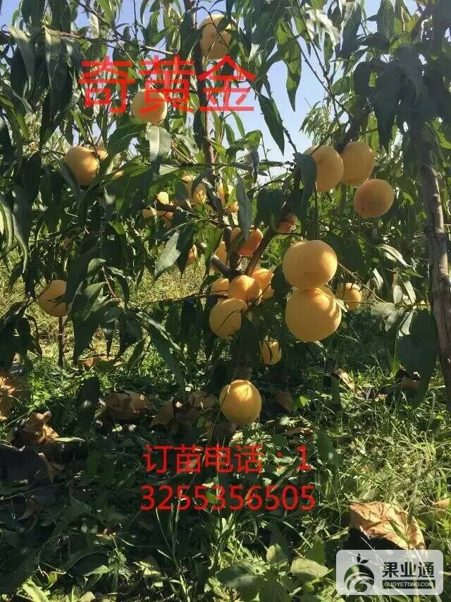 163214yna7n66y7zmnd5rz.jpeg