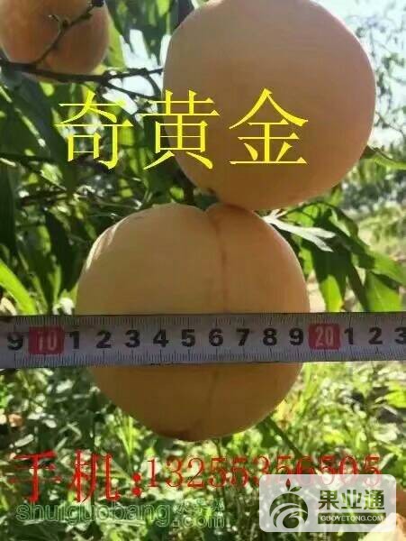 163216s9pdsqidpp8ho1my.jpeg