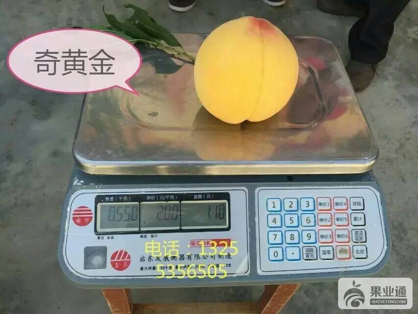 163216ziq9d2ja9767dq7d.jpeg