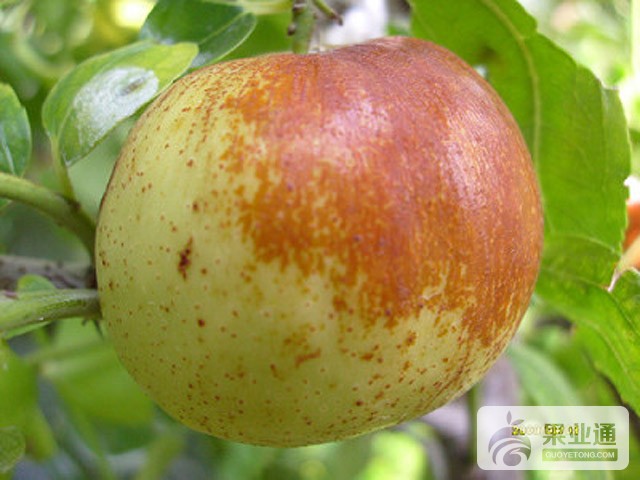 201011182126515961.jpg