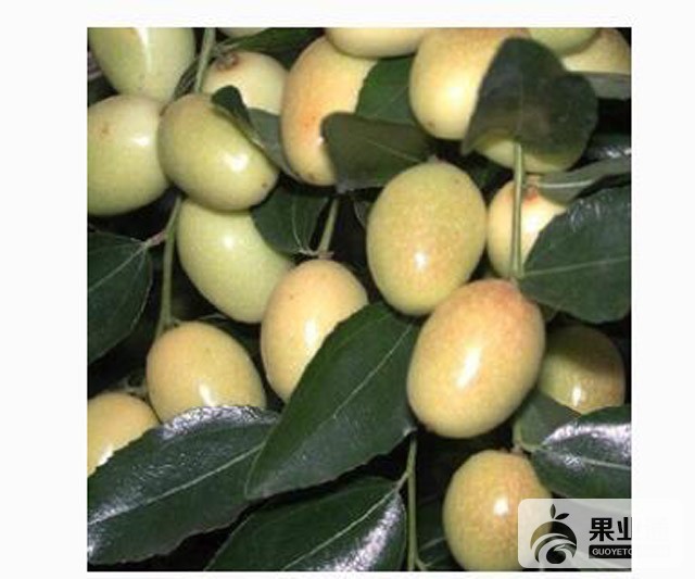 QQ截图20170914155609.jpg