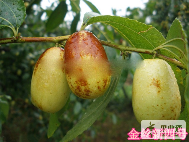 2015092443225034.jpg