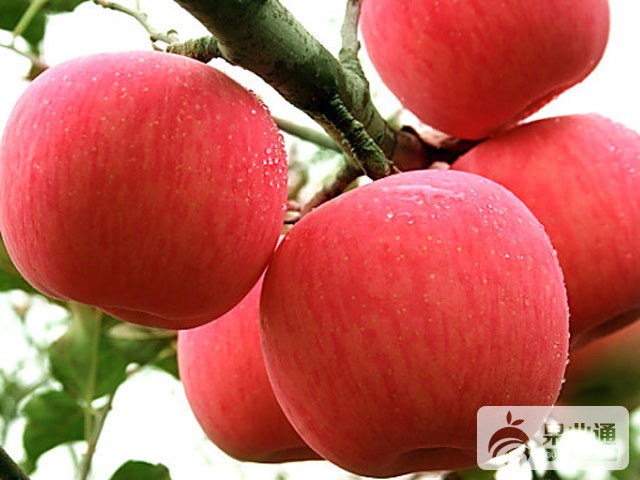 b31087c7ff25.jpg