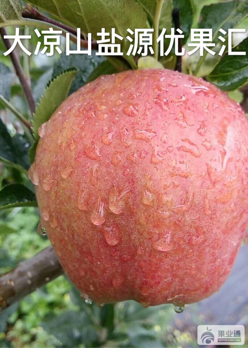 092202uopyvtvyl0t89999.jpg