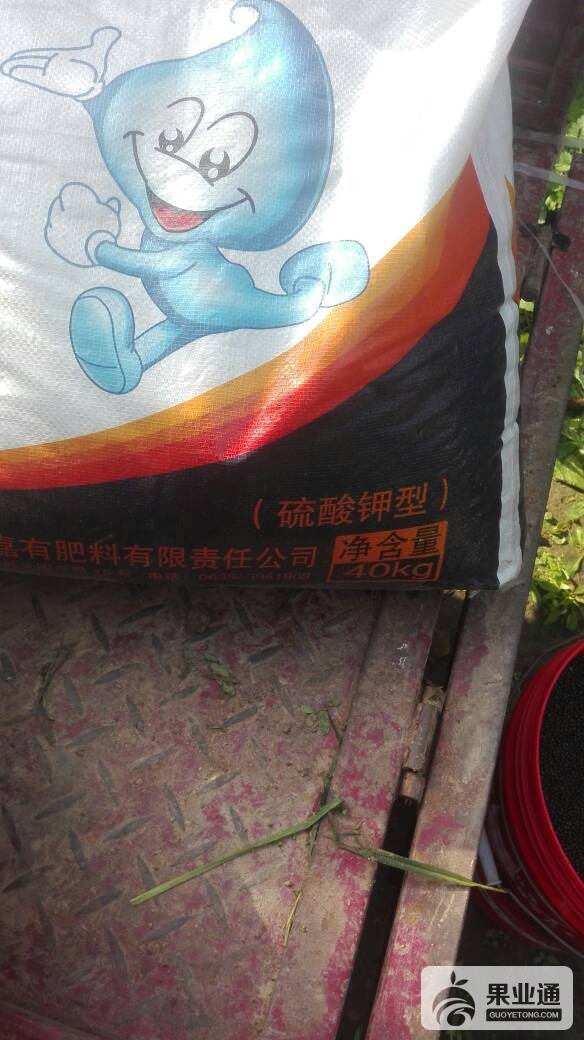 105138nuth3r3hthv8yxek.jpg