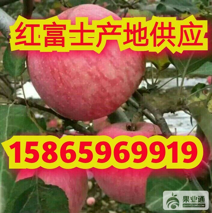 QQ图片20170927203828.jpg