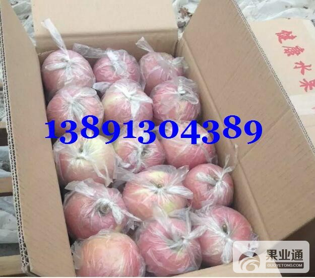 苹果-箱子红富士苹果短子1.JPG