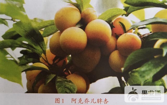 1508911676201.jpg