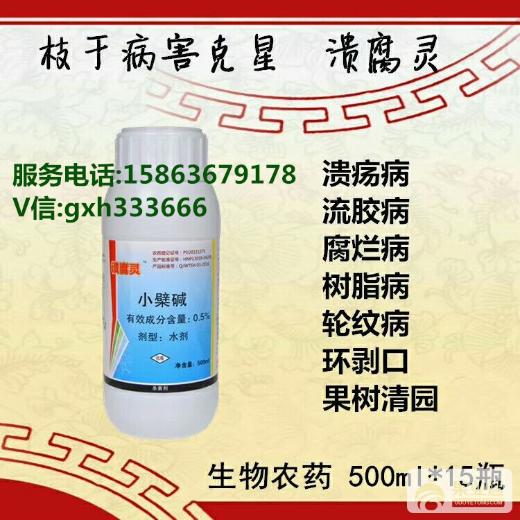 溃腐_副本.jpg