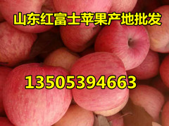 山东纸袋富士2_副本.jpg