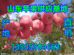 3_310_8f64e16a019bfb4_副本.jpg