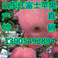 2_482_711a9eabd8c808f_副本.jpg