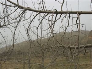 46082414_8.jpg