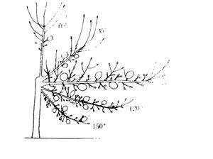 46082414_12.jpg