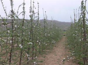 46082414_19.jpg