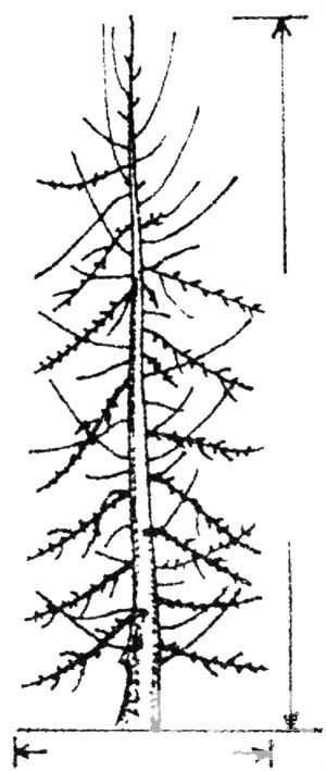 46082414_21.jpg