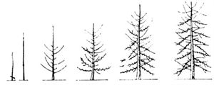 46082414_28.jpg