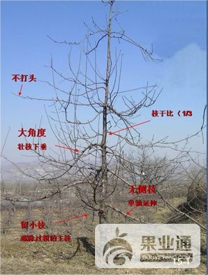 46082414_38.jpg