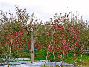 46082414_48.jpg