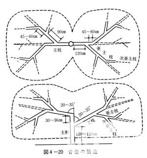 46082414_51.jpg