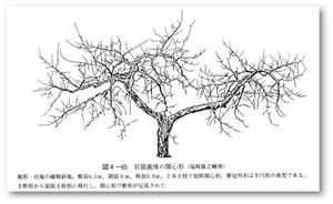 46082414_52.jpg