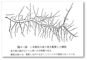46082414_53.jpg