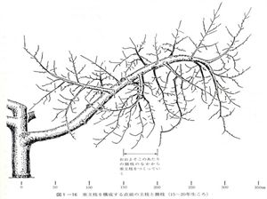 46082414_54.jpg