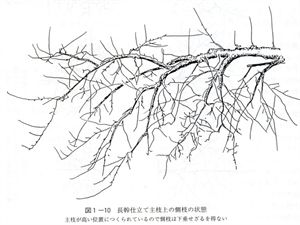 46082414_55.jpg