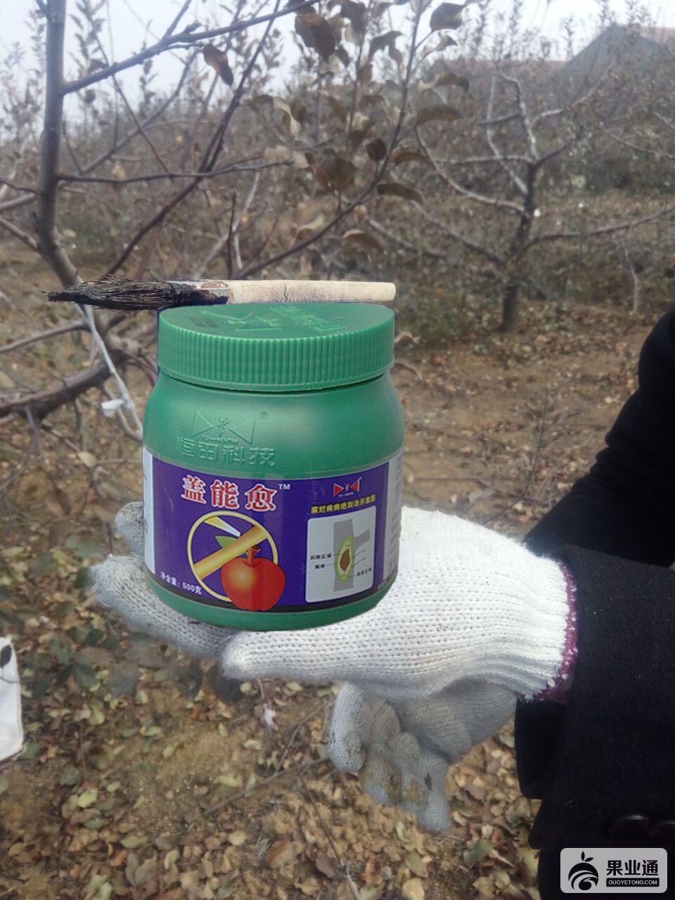 QQ图片20161230133340.jpg