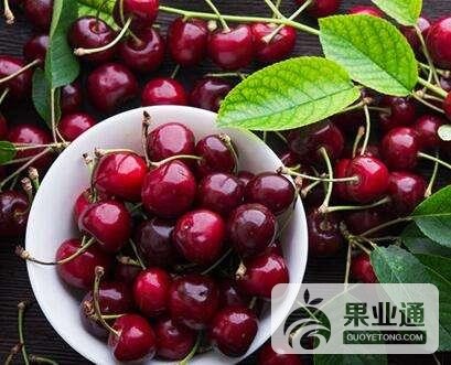 微信图片_20170705092849.jpg