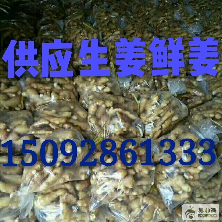 QQ图片20171026104229.jpg