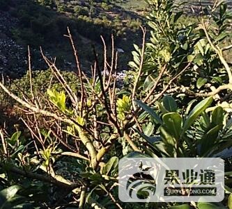 QQ图片20180112171253.jpg