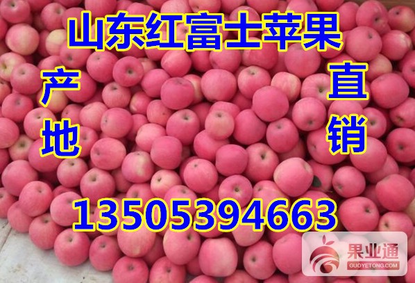 纸袋红富士5_副本.jpg