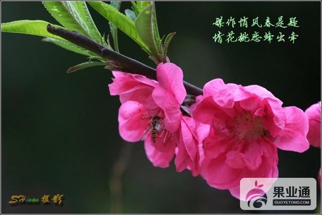 1205390232901_mthumb.jpg