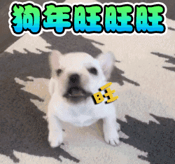 800.gif