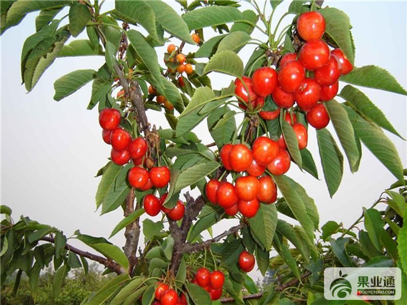 u=708679923,329837696&amp;fm=214&amp;gp=0.jpg