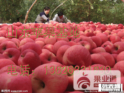 2cd7e99bc30698de7e628c625c8ad380.jpg