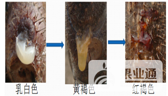 微信图片_20171220162249.png