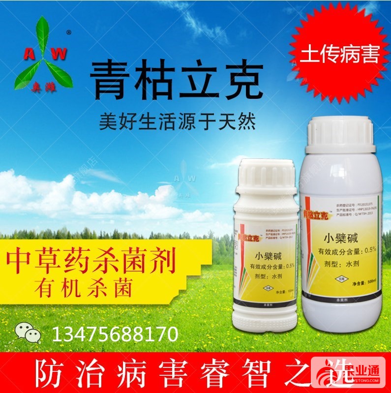 微信图片_20180207123707_副本_副本.jpg