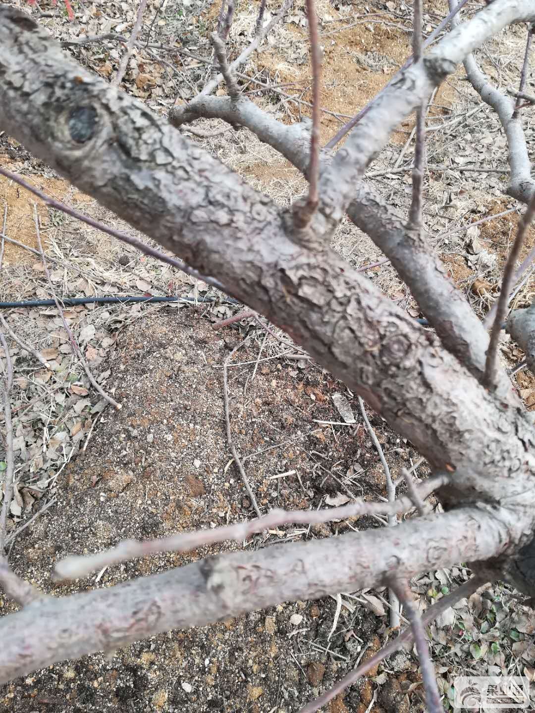 微信图片_20180226134353.jpg
