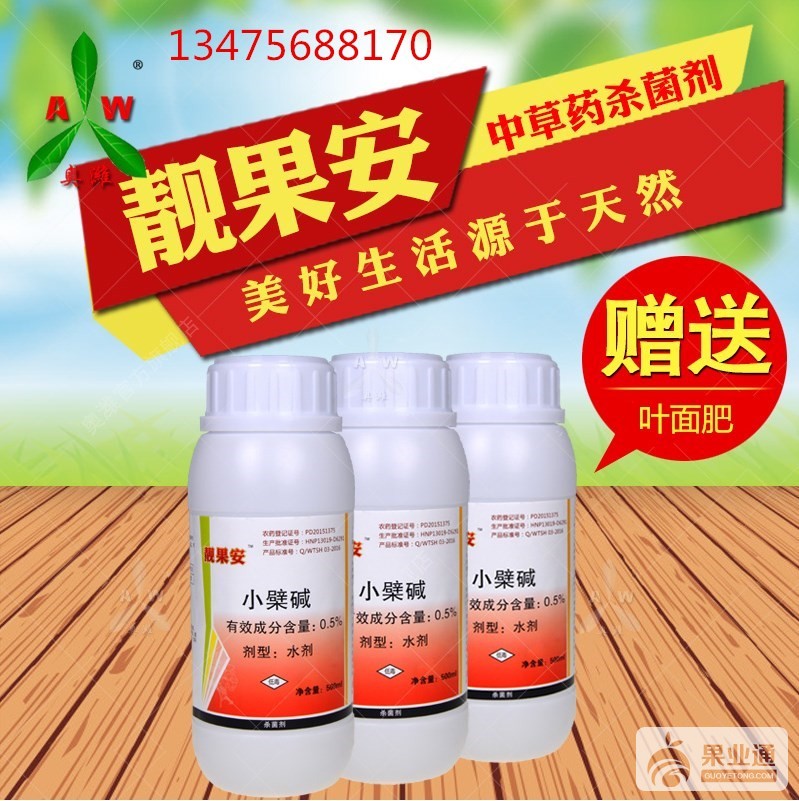 微信图片_20180207122555_副本_副本.jpg