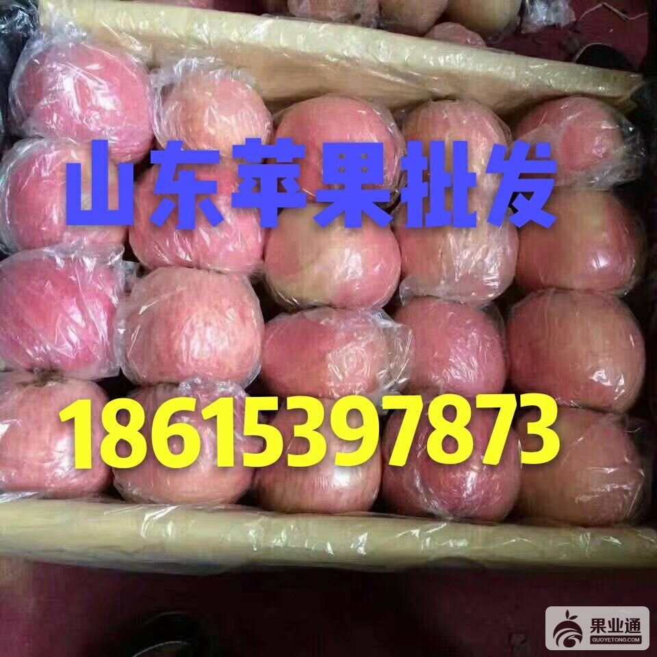 QQ图片20170824202421.jpg