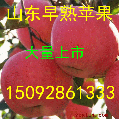b49e9bb10f944ae1be1c9d6b36ef7885.gif