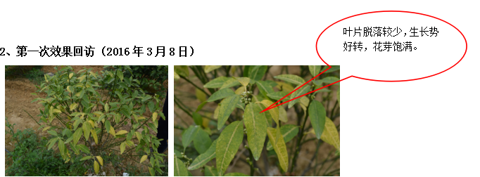 微信图片_20180311112045.png