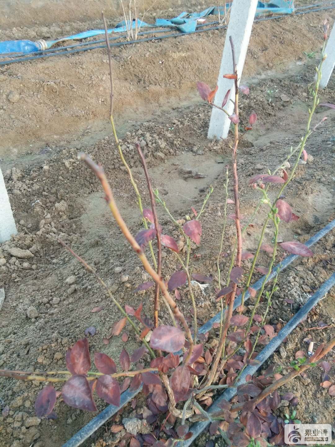 微信图片_20180317135956.jpg