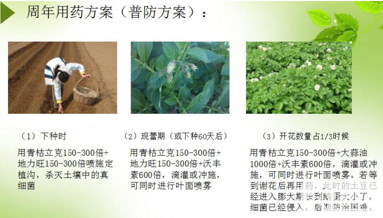 土豆预防.png