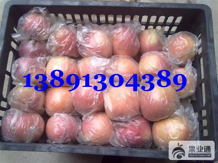 苹果-红富士苹果膜袋框好子.JPG