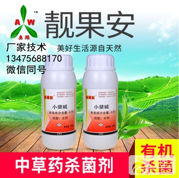 微信图片副本.jpg
