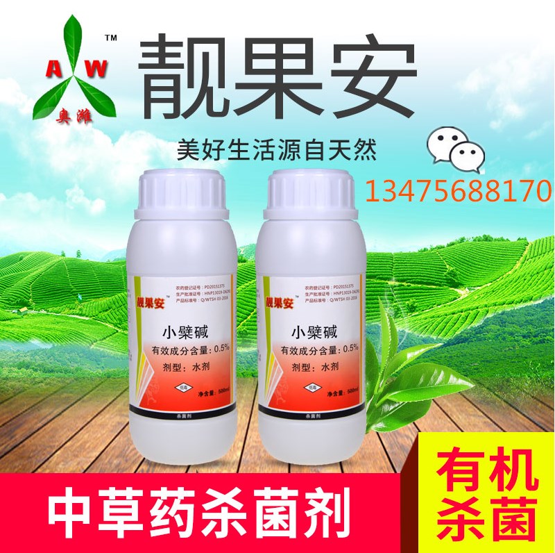 微信图片_20180207122559_副本.jpg