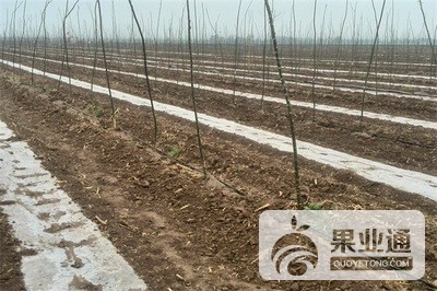 t01dae684a10d12208e.jpg